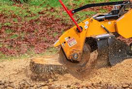 Best Lawn Mowing  in Falcon Heights, MN